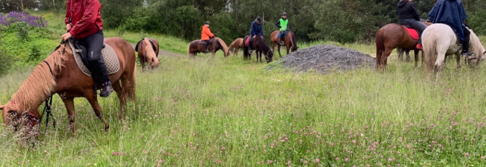 Ridning Solbakken gård